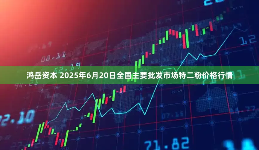 鸿岳资本 2025年6月20日全国主要批发市场特二粉价格行情