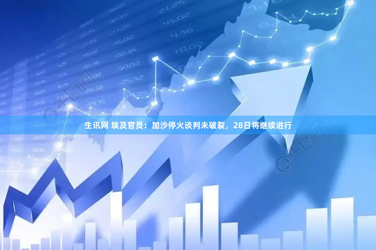 生讯网 埃及官员：加沙停火谈判未破裂，28日将继续进行