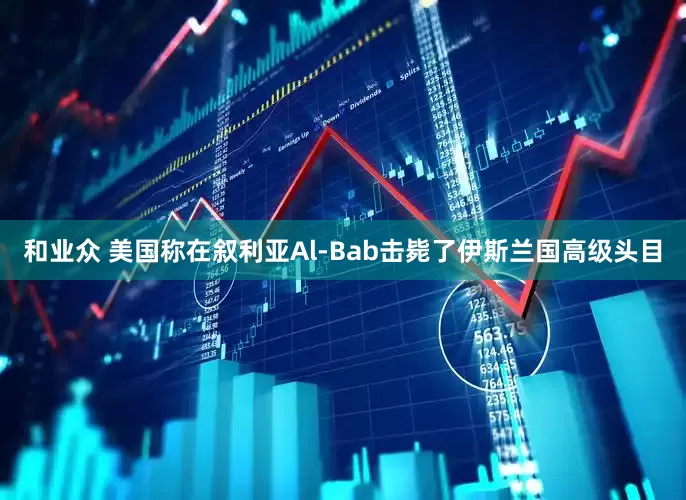 和业众 美国称在叙利亚Al-Bab击毙了伊斯兰国高级头目