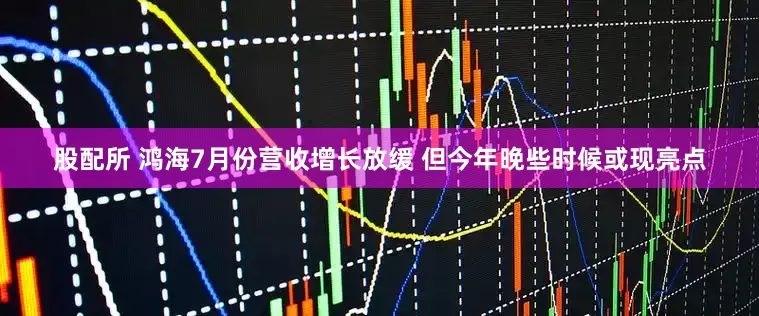股配所 鸿海7月份营收增长放缓 但今年晚些时候或现亮点