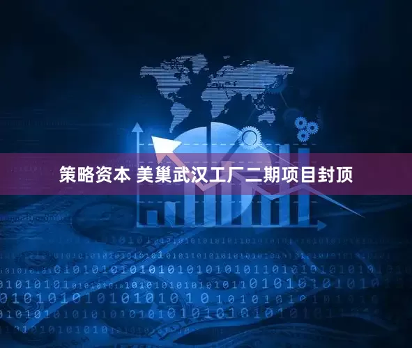 策略资本 美巢武汉工厂二期项目封顶